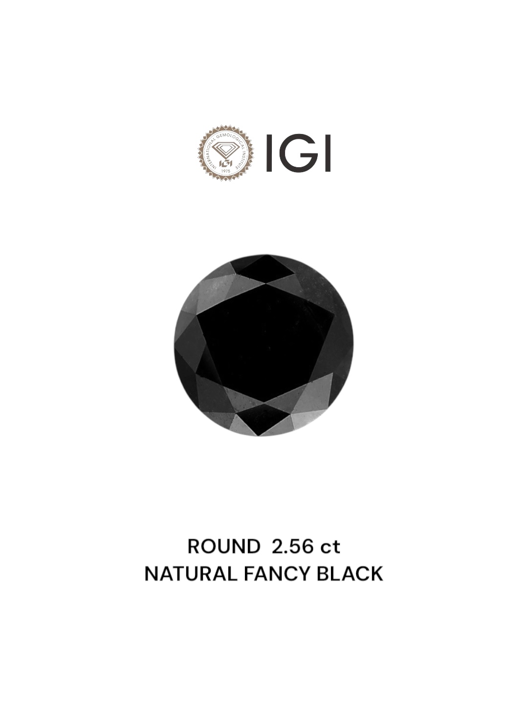 IGI 2.56 Carat Natural Fancy Black Round Diamond SE-4360IN