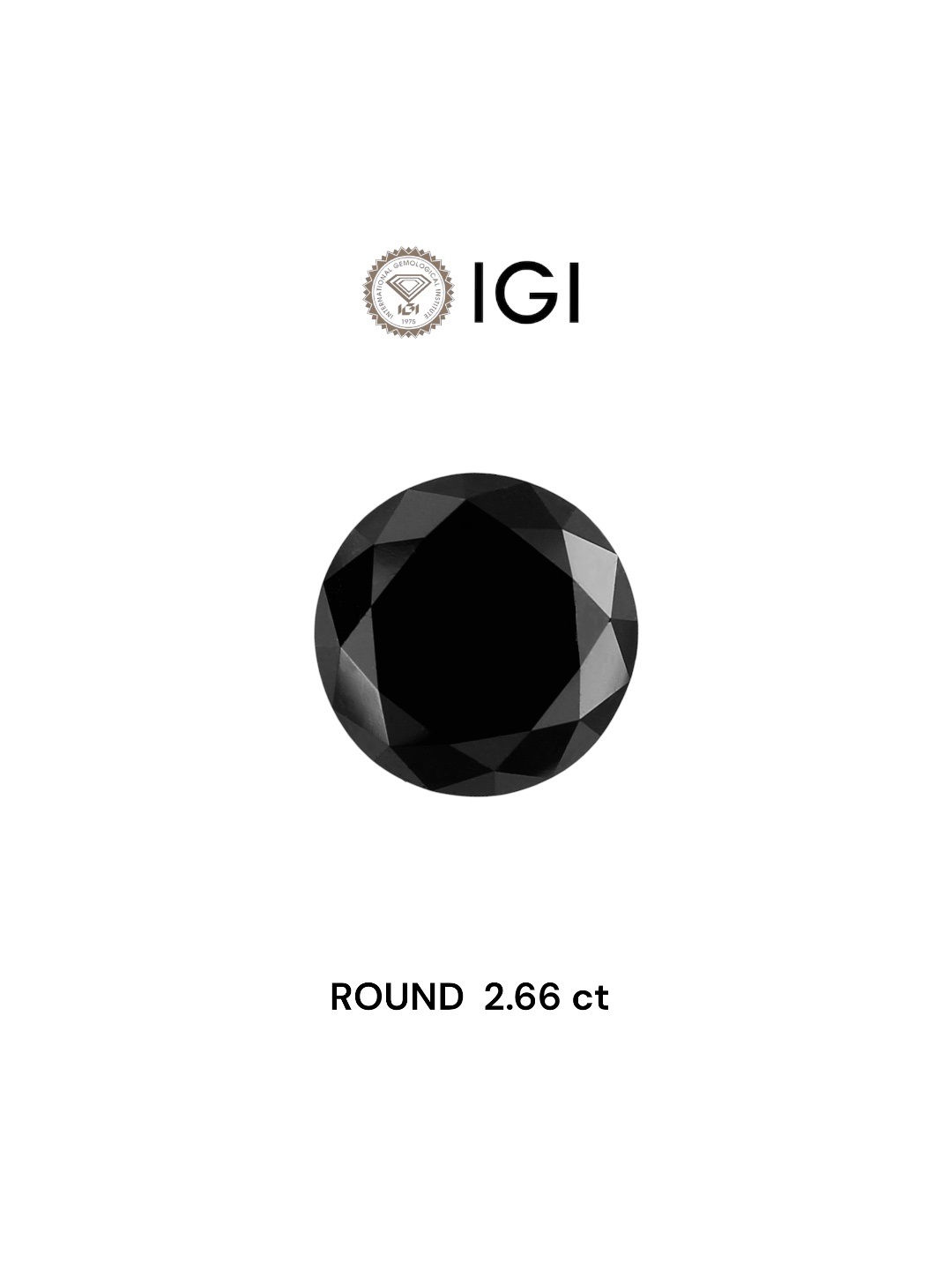 IGI 2.66 Carat Natural Fancy Black Round Diamond SE-4499IN
