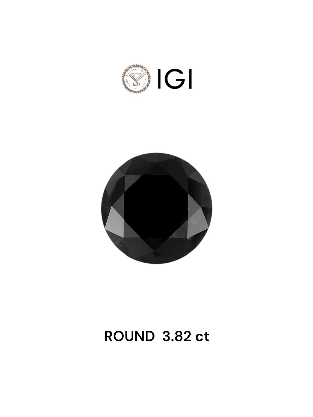 IGI 3.82 Carat Natural Fancy Black Round Diamond SE-4695IN