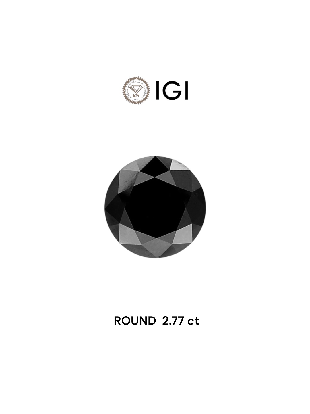 IGI 2.77 Carat Natural Fancy Black Round Diamond SE-4723IN
