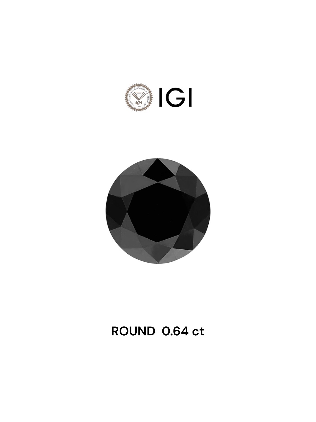 IGI 0.64 Carat Natural Fancy Black Round Diamond SE-5224IN