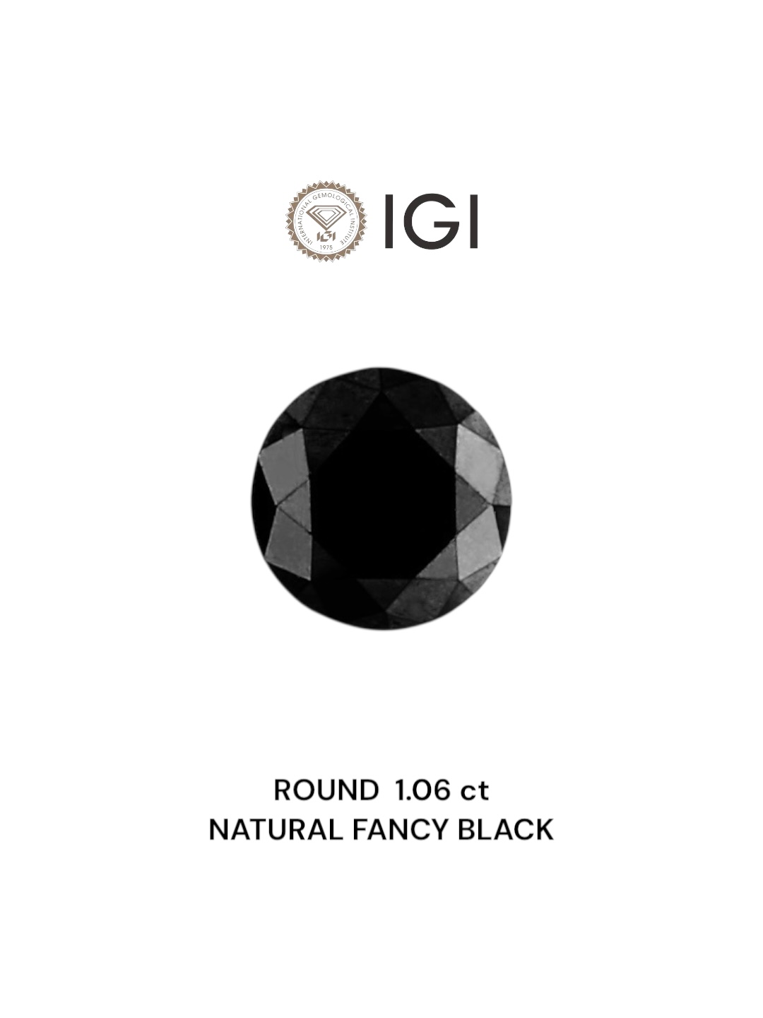 IGI 1.06 Carat Natural Fancy Black Round Diamond SE-5290IN