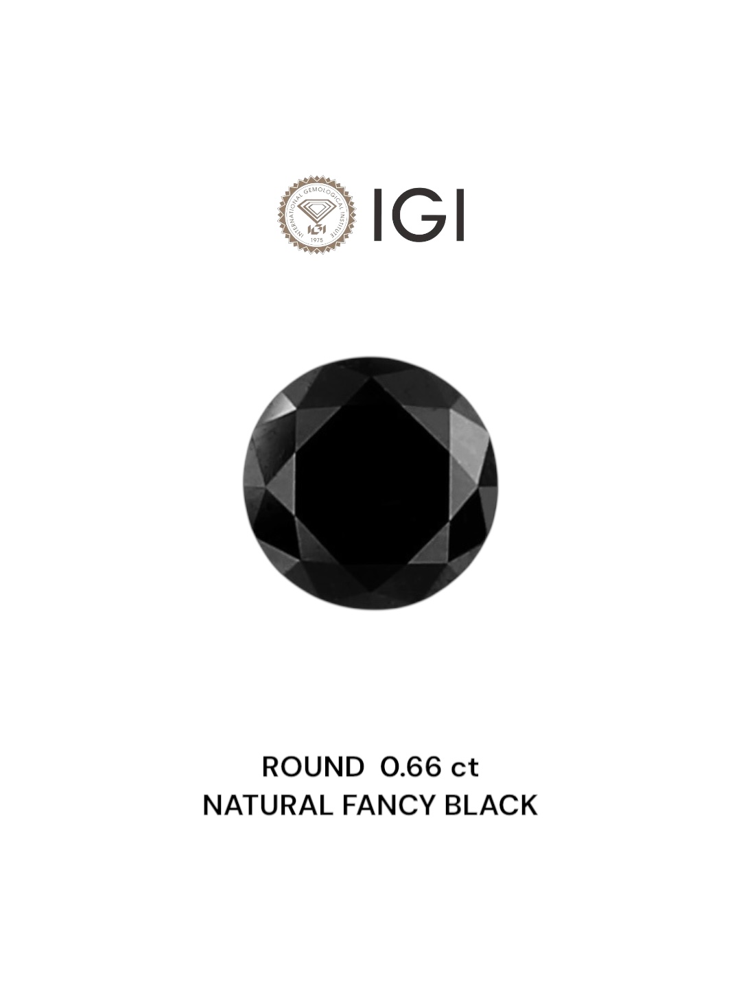IGI 0.66 Carat Natural Fancy Black Round Diamond SE-5339IN
