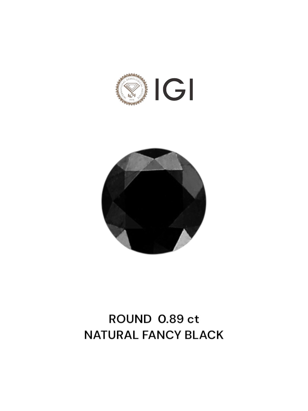 IGI 0.89 Carat Natural Fancy Black Round Diamond SE-5345IN