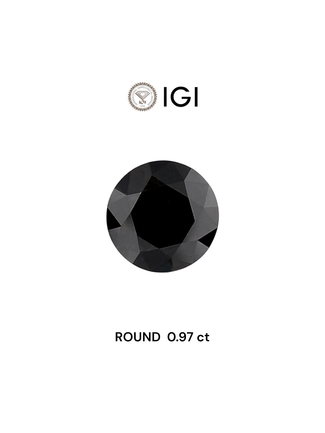 IGI 0.97 Carat Natural Fancy Black Round Diamond SE-5347IN