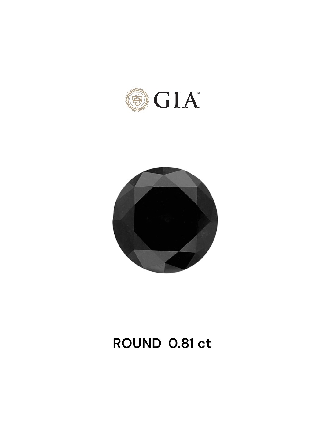 GIA 0.81 Carat Natural Fancy Black Round Diamond SE-5383GN