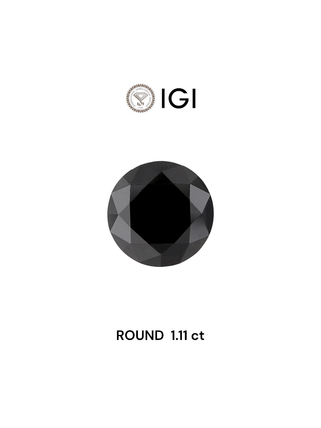 IGI 1.11 Carat Natural Fancy Black Round Diamond SE-5425IN