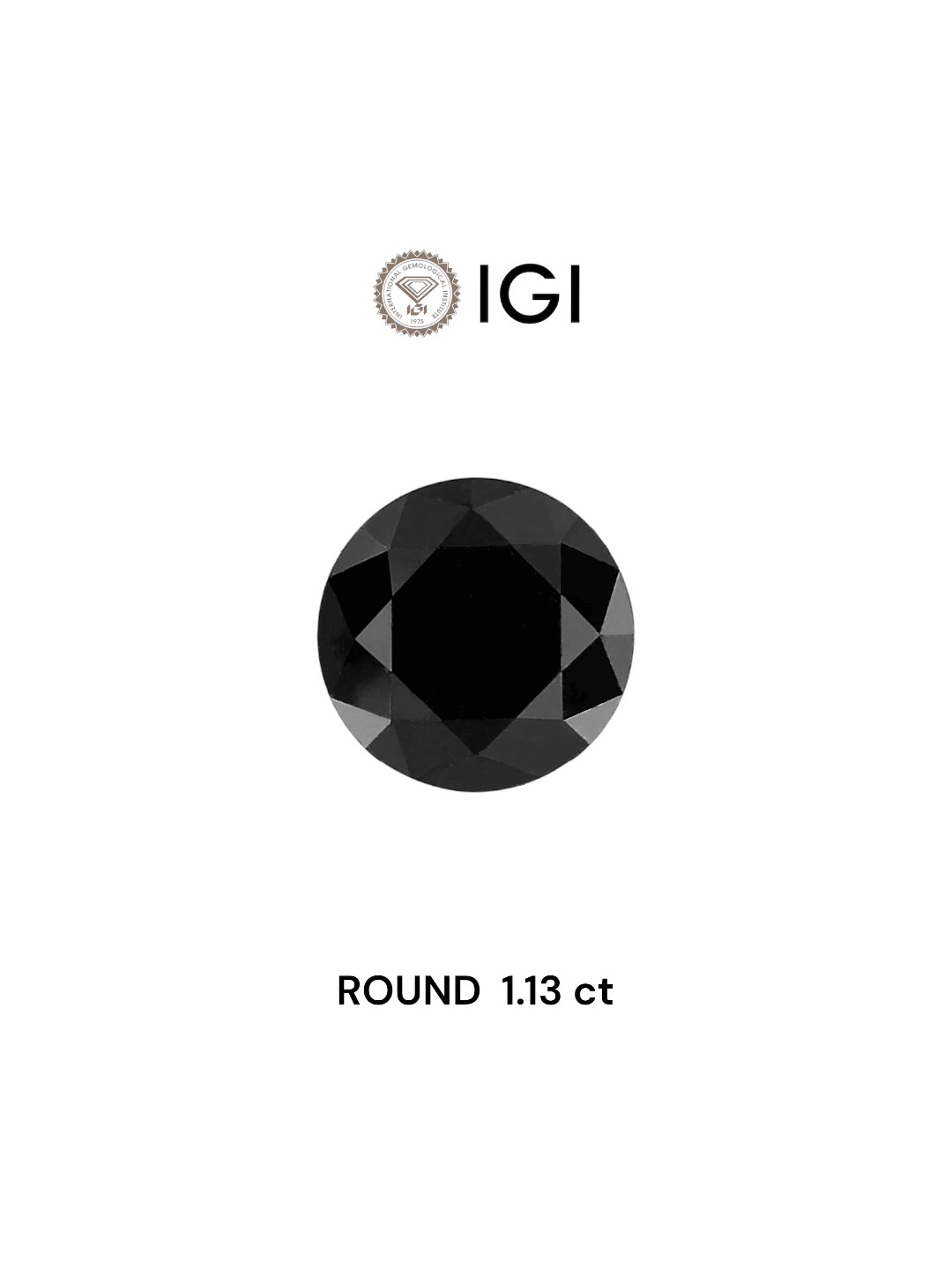IGI 1.13 Carat Natural Fancy Black Round Diamond SE-5519IN