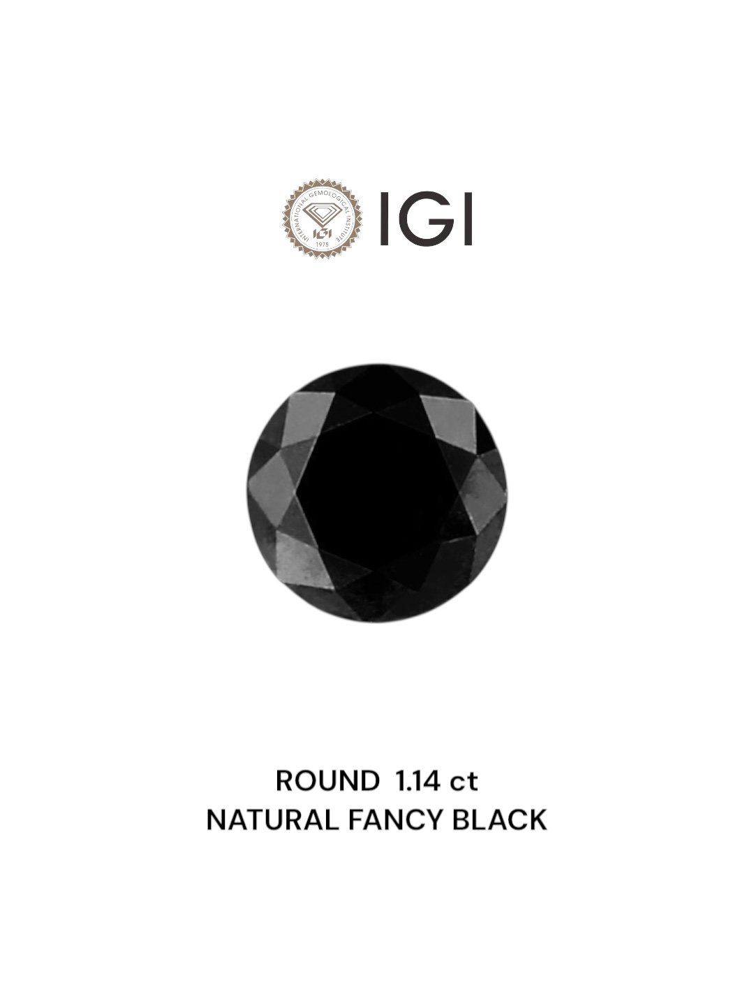 IGI 1.14 Carat Natural Fancy Black Round Diamond SE-5523IN