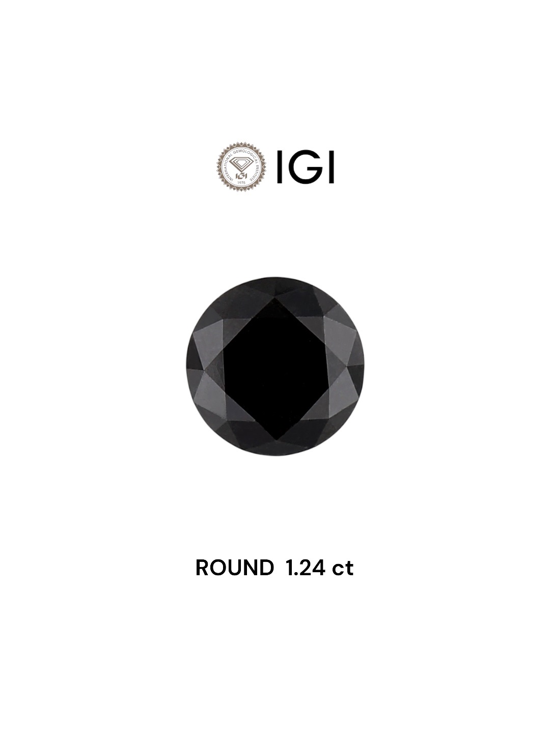 IGI 1.24 Carat Natural Fancy Black Round Diamond SE-5528IN