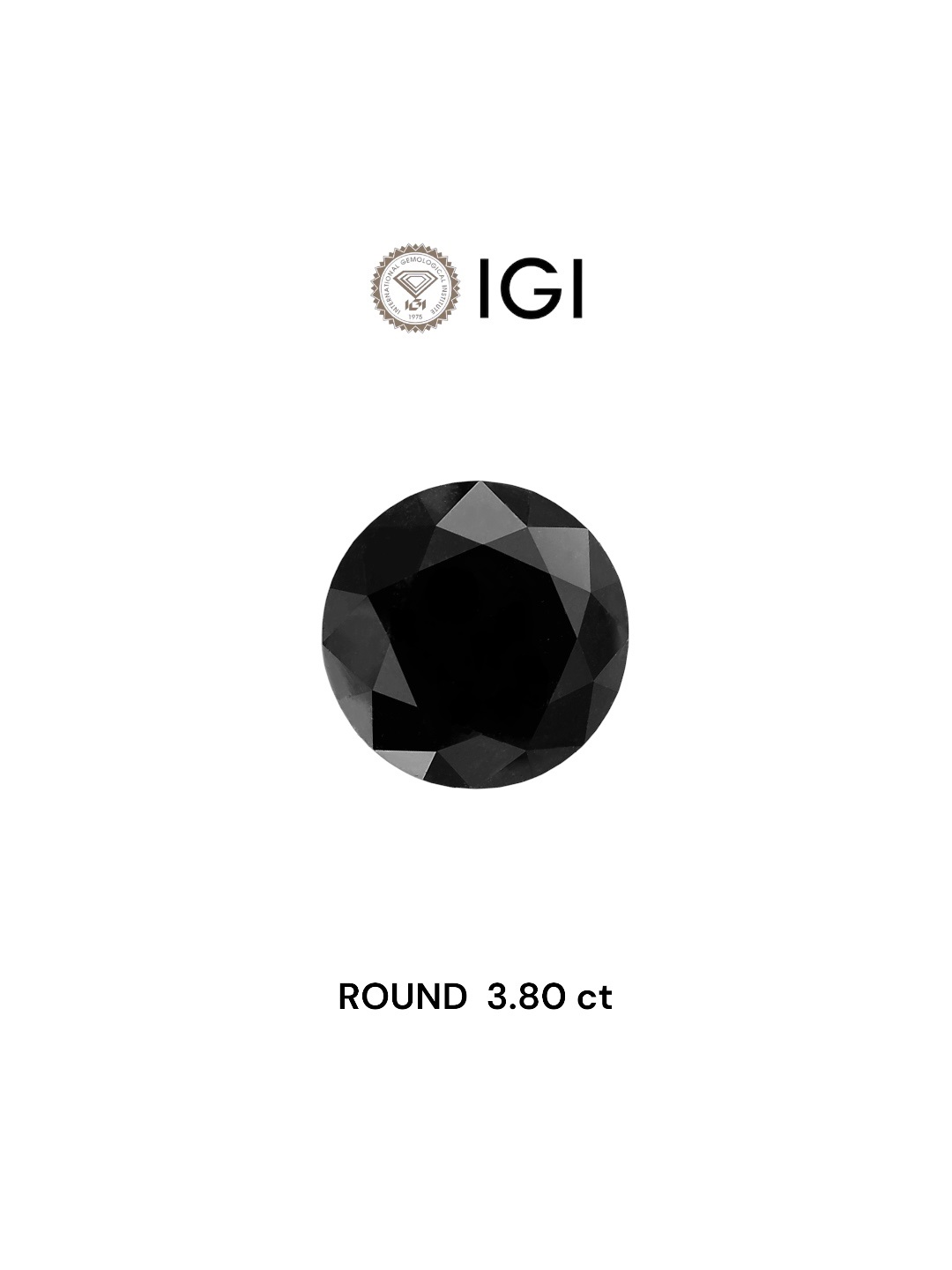 IGI 3.80 Carat Natural Fancy Black Round Diamond SE-5581IN