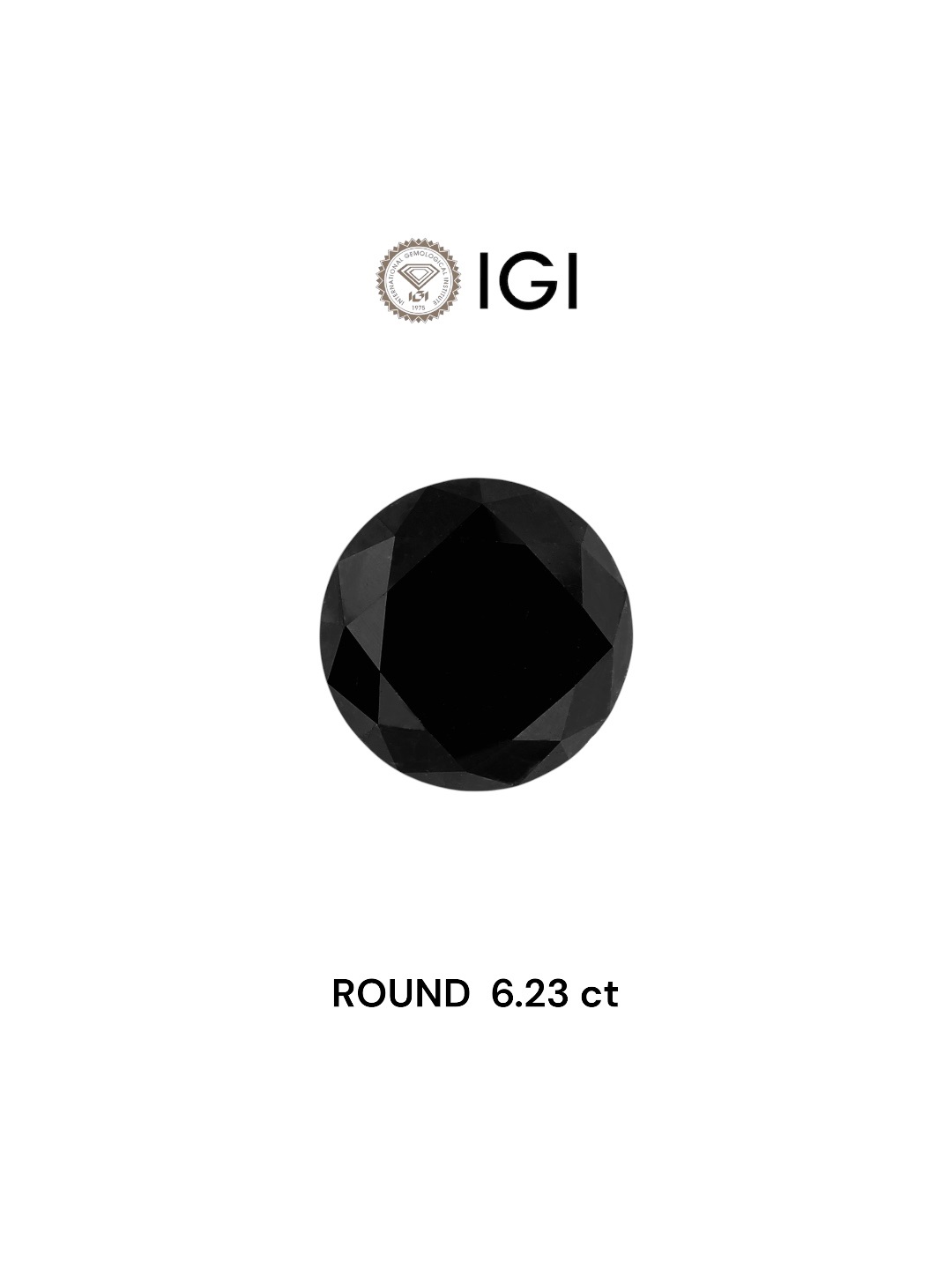 IGI 6.23 Carat Natural Fancy Black Round Diamond SE-5585IN