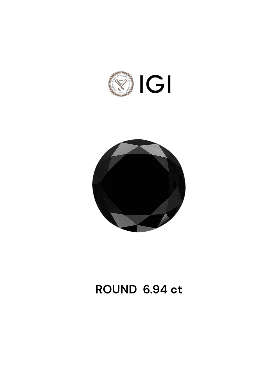 IGI 6.94 Carat Natural Fancy Black Round Diamond SE-5587IN