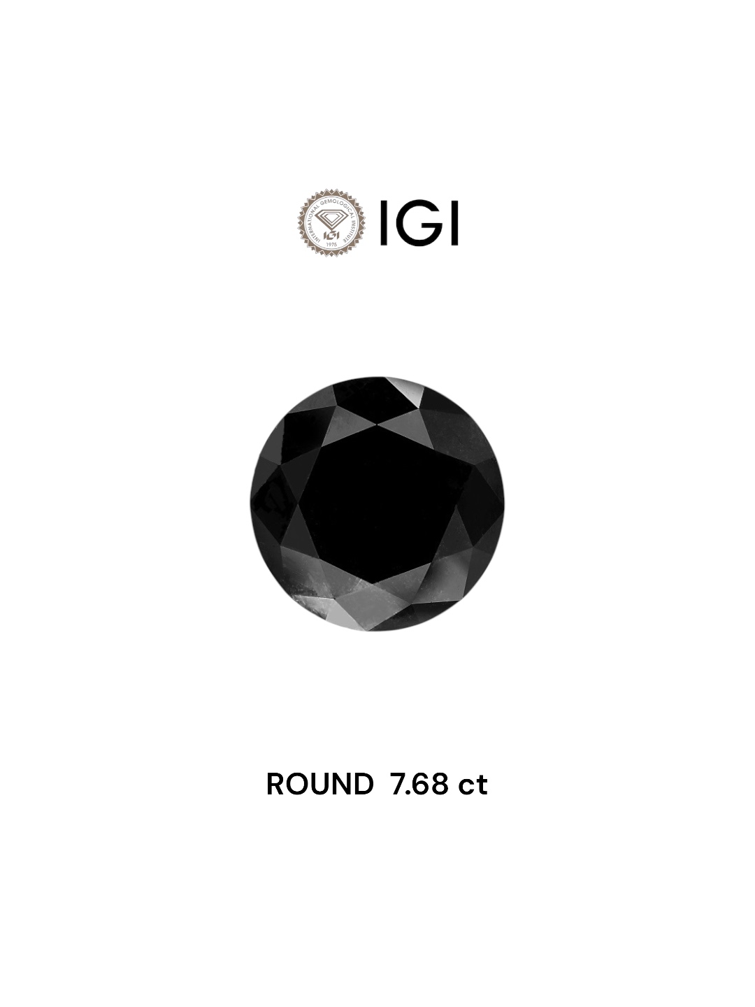 IGI 7.68 Carat Natural Fancy Black Round Diamond SE-5588IN