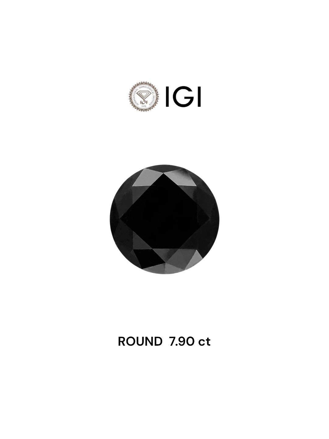 IGI 7.90 Carat Natural Fancy Black Round Diamond SE-5589IN