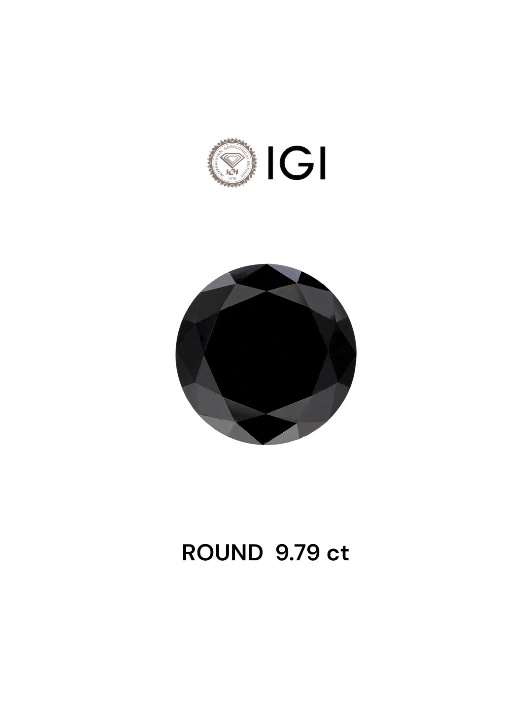 IGI 9.79 Carat Natural Fancy Black Round Diamond SE-5594IN