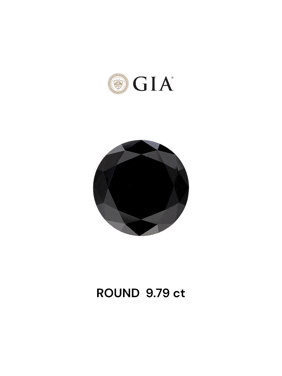 GIA 9.79 Carat Natural Fancy Black Round Diamond SE-5594INGT
