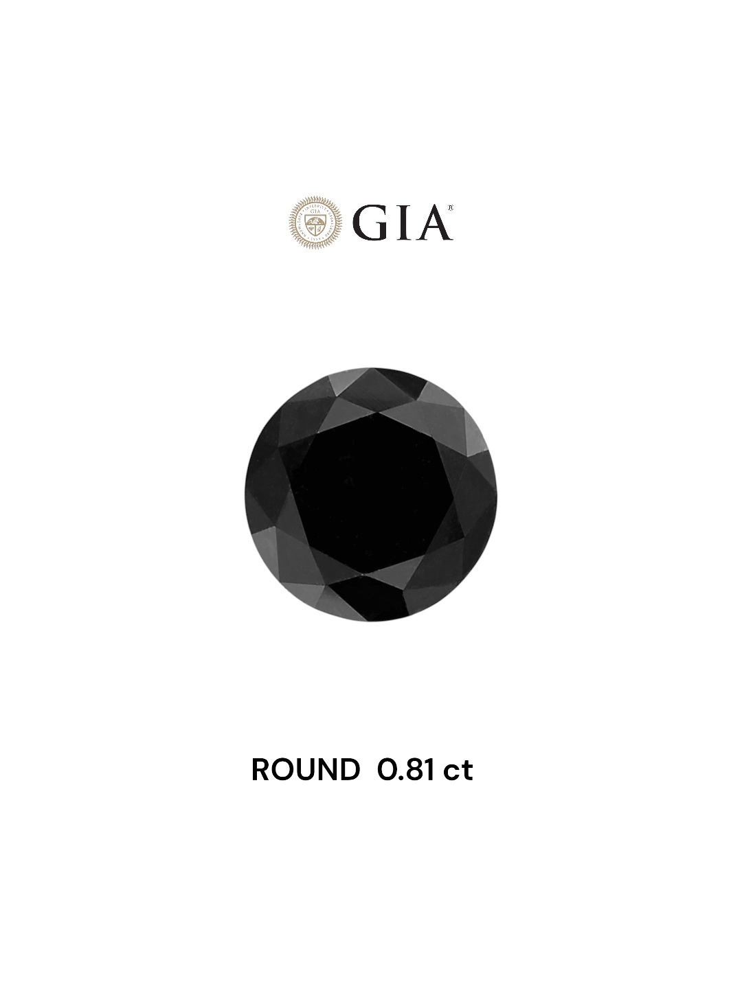 GIA 0.81 Carat Natural Fancy Black Round Diamond SE-5612GNN