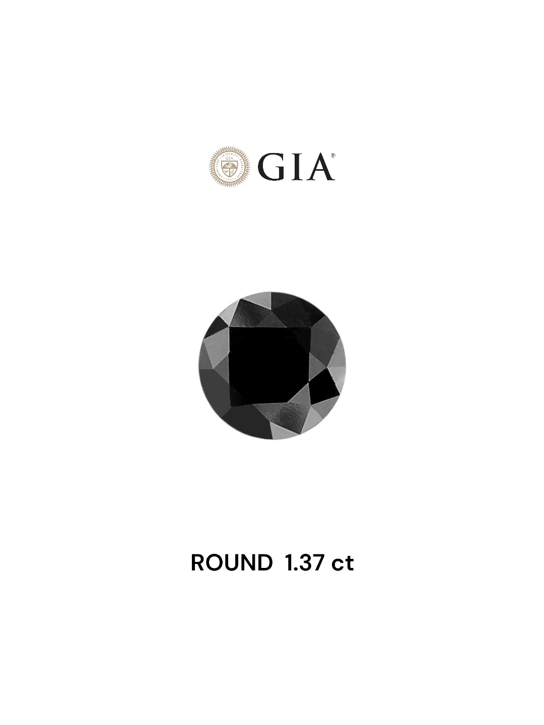 GIA 1.37 Carat Natural Fancy Black Round Diamond SE-5627GT