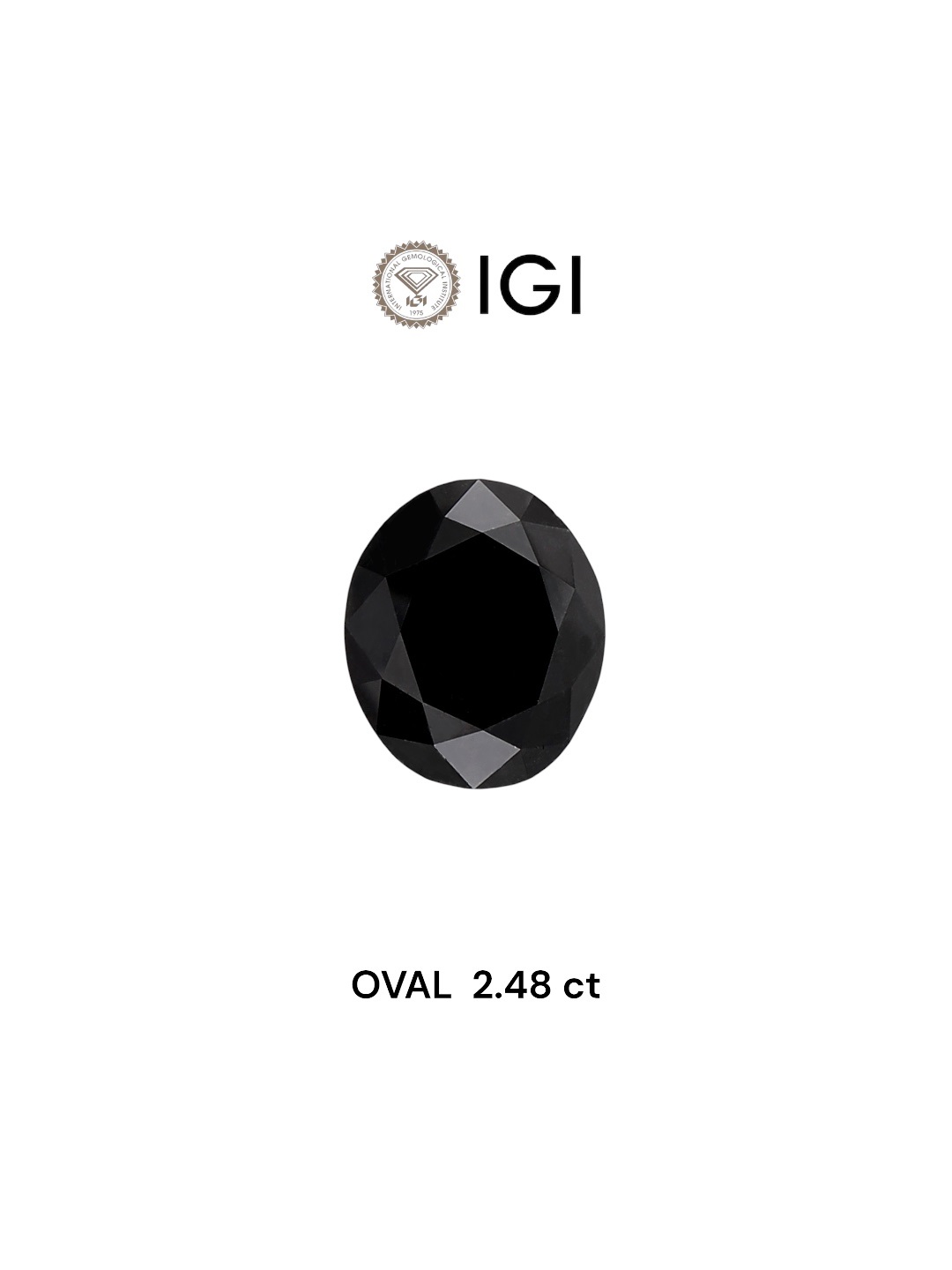 IGI 2.48 Carat Natural Fancy Black Oval Diamond SE-5648IN