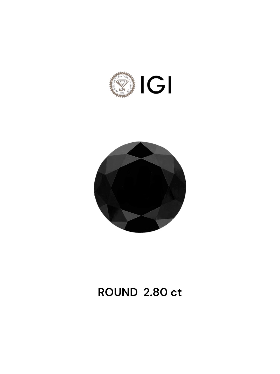 IGI 2.80 Carat Natural Fancy Black Round Diamond SE-5649IN