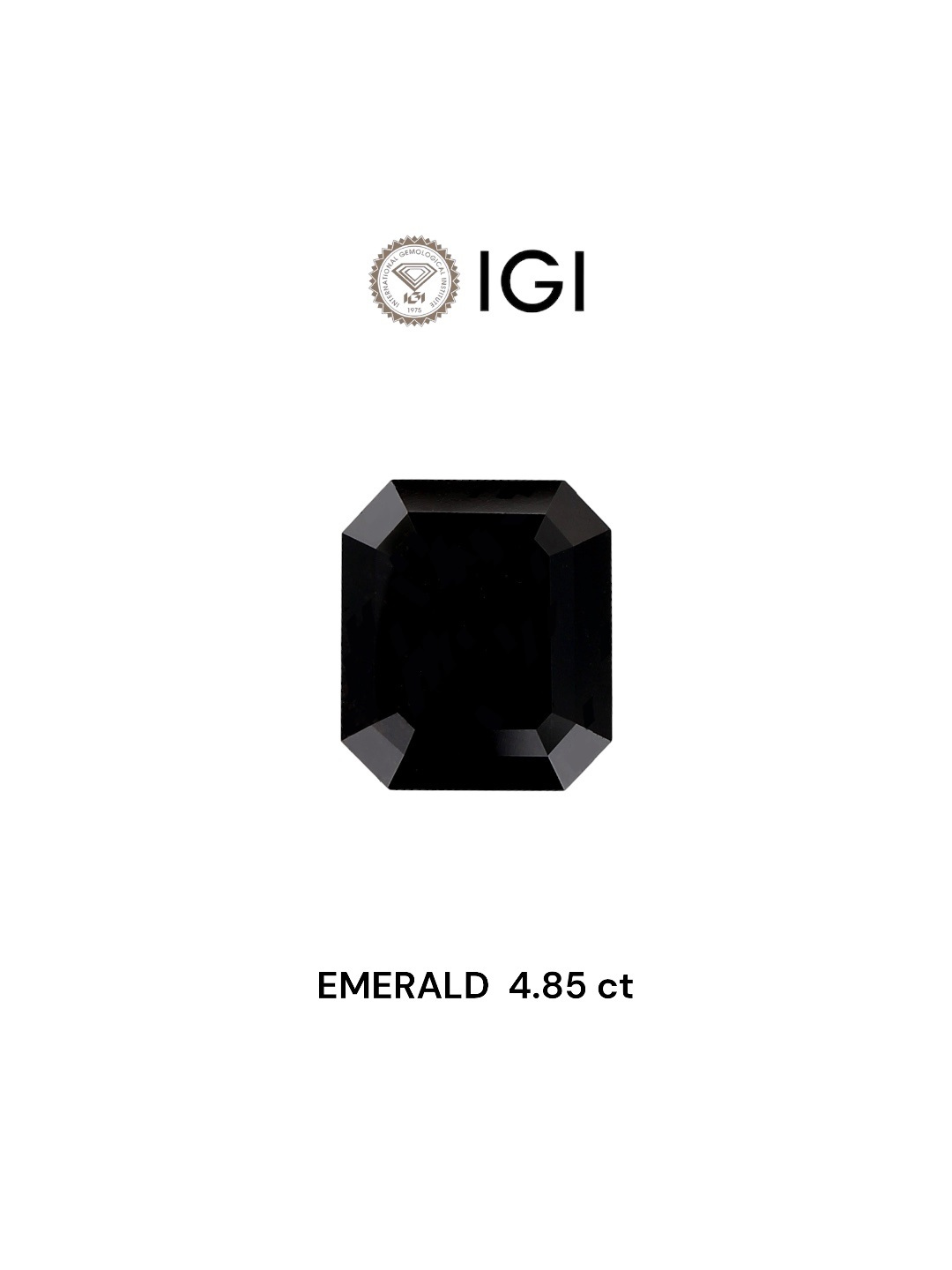 IGI 4.85 Carat Natural Fancy Black Emerald Diamond SE-5672IN