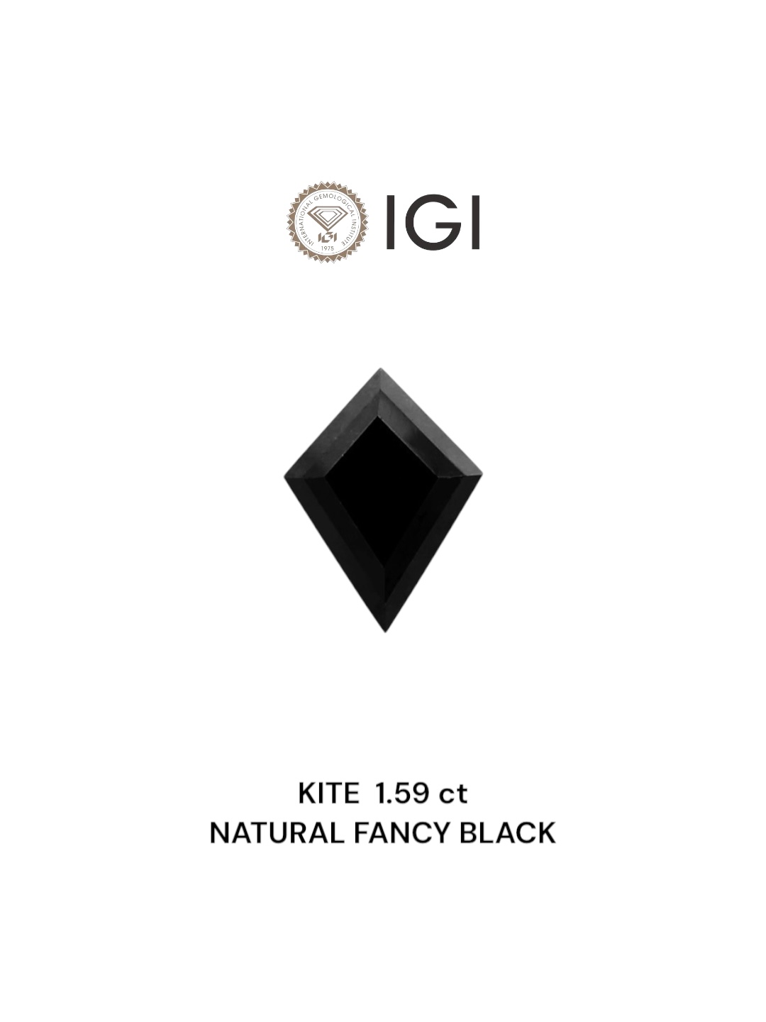 IGI 1.59 Carat Natural Fancy Black Kite Diamond SE-5728IN