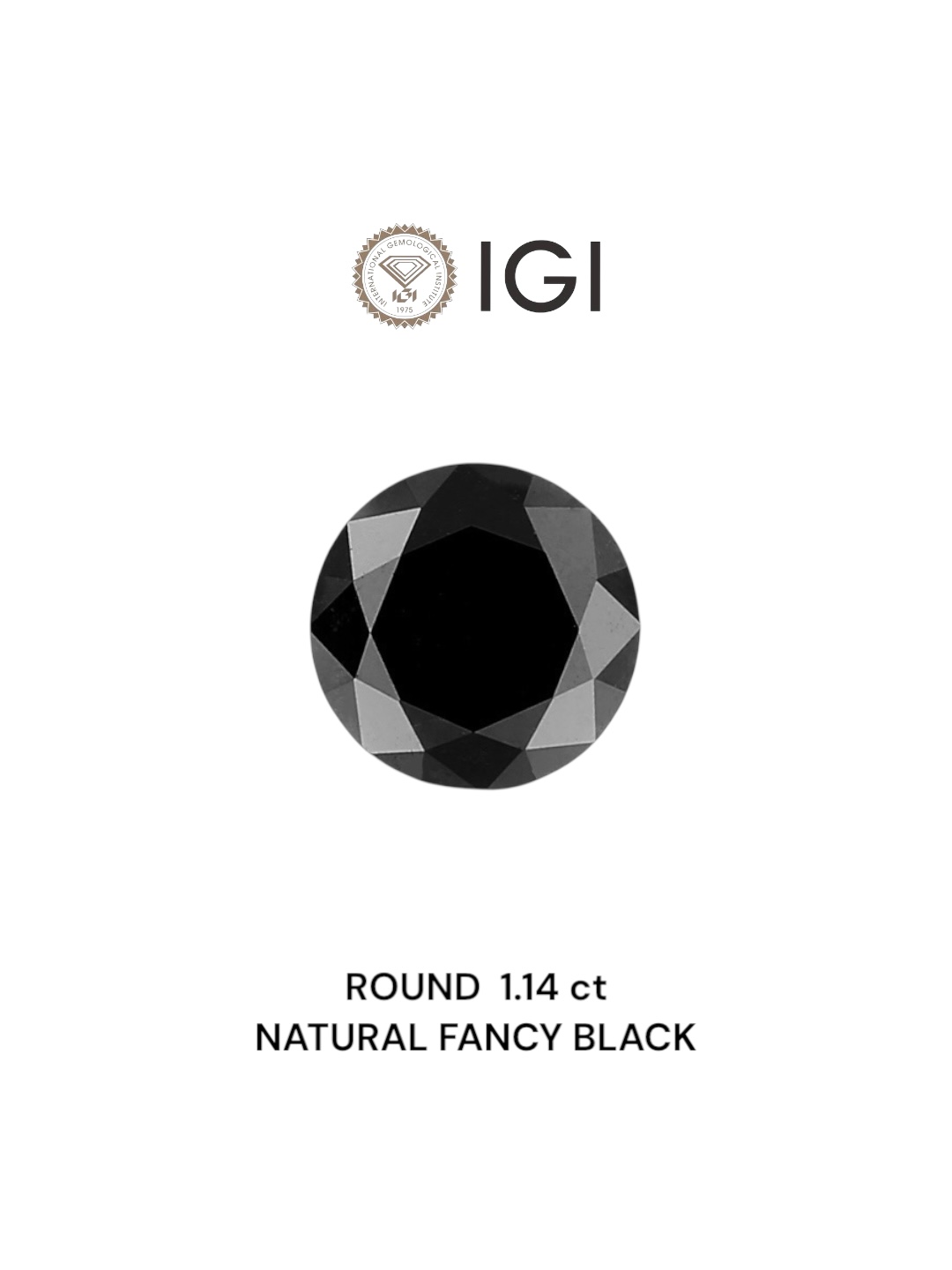 IGI 1.14 Carat Natural Fancy Black Round Diamond SE-6060IN