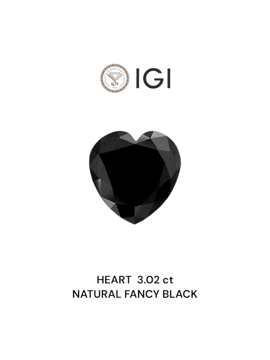 IGI 3.02 Carat Natural Fancy Black Heart Diamond SE-6077IN