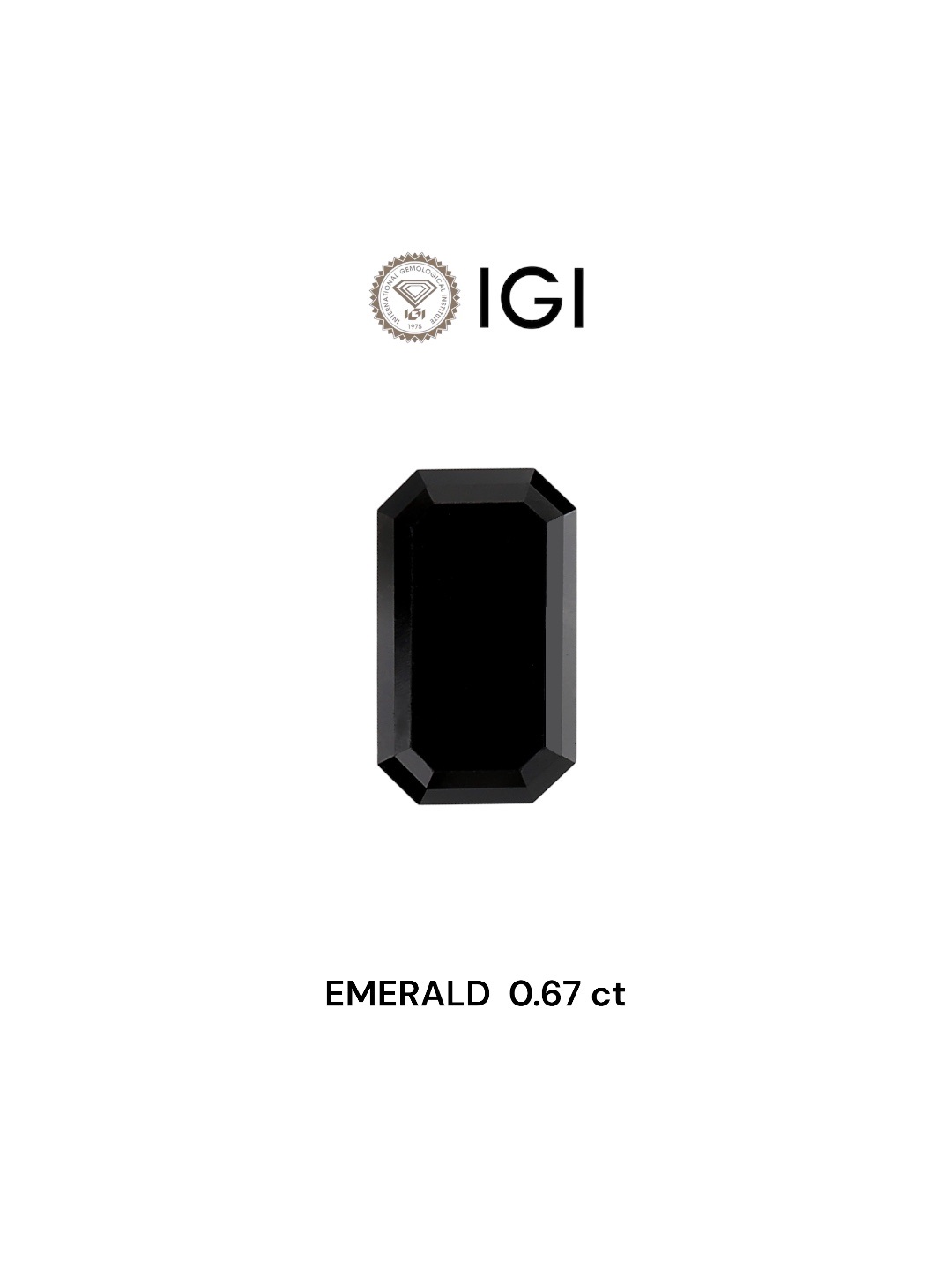 IGI 0.67 Carat Natural Fancy Black Emerald Diamond SE-6081IN