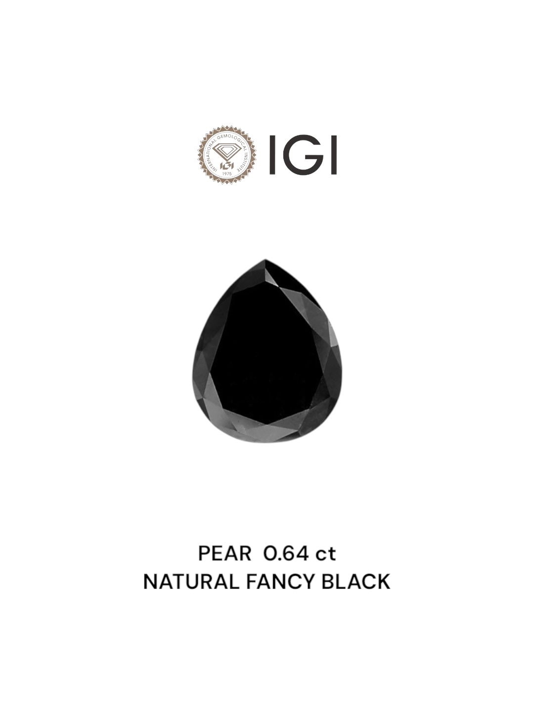 IGI 0.64 Carat Natural Fancy Black Pear Diamond SE-6083IN