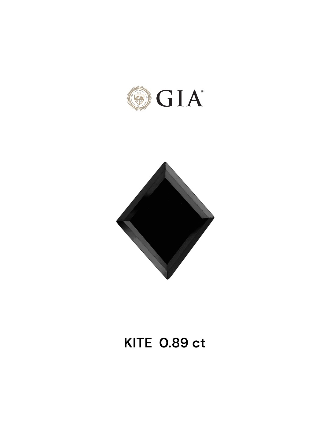 GIA 0.89 Carat Natural Fancy Black Kite Diamond SE-6148TG
