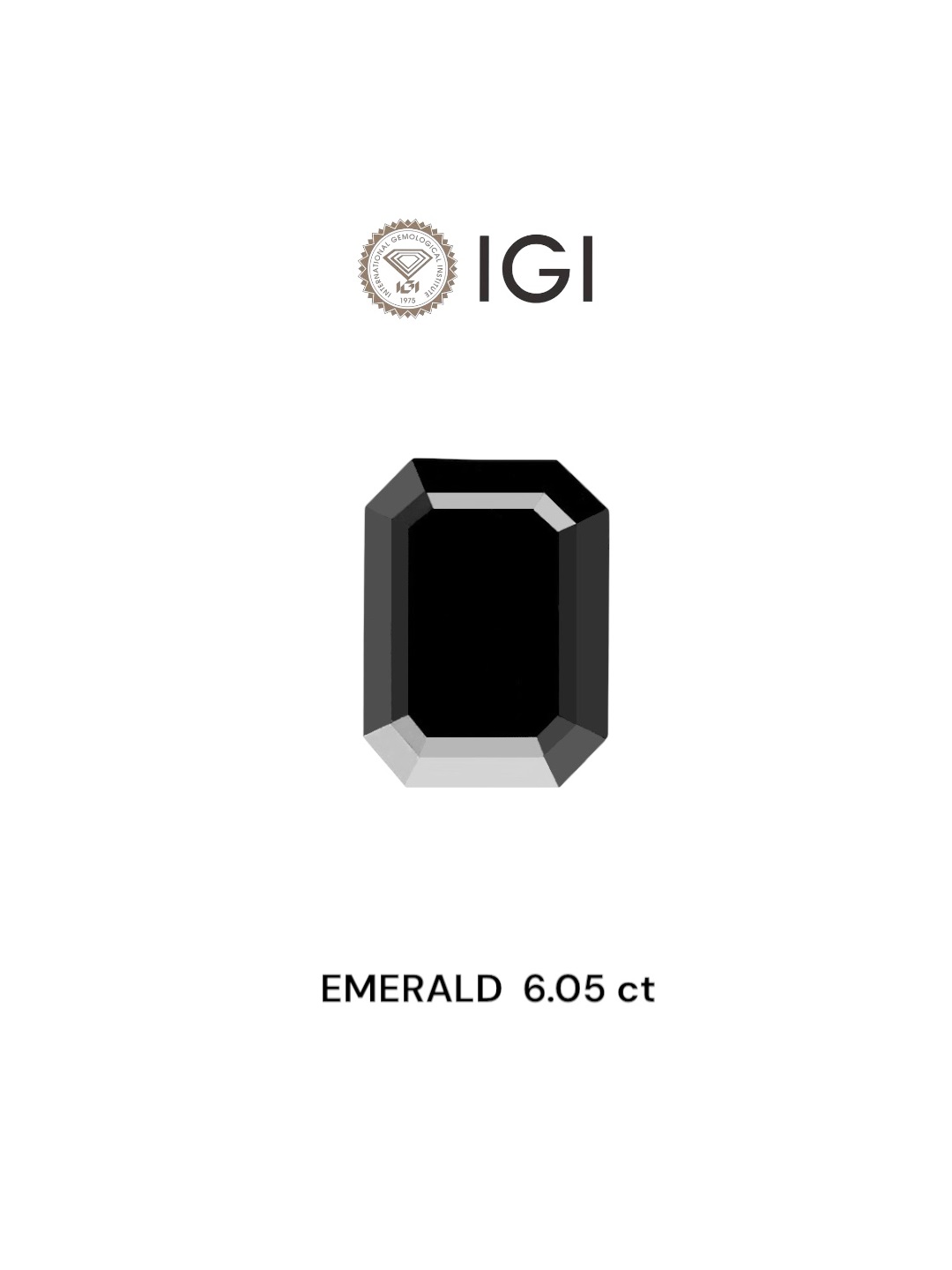 IGI 6.05 Carat Natural Fancy Black Emerald Diamond SE-6190TTI
