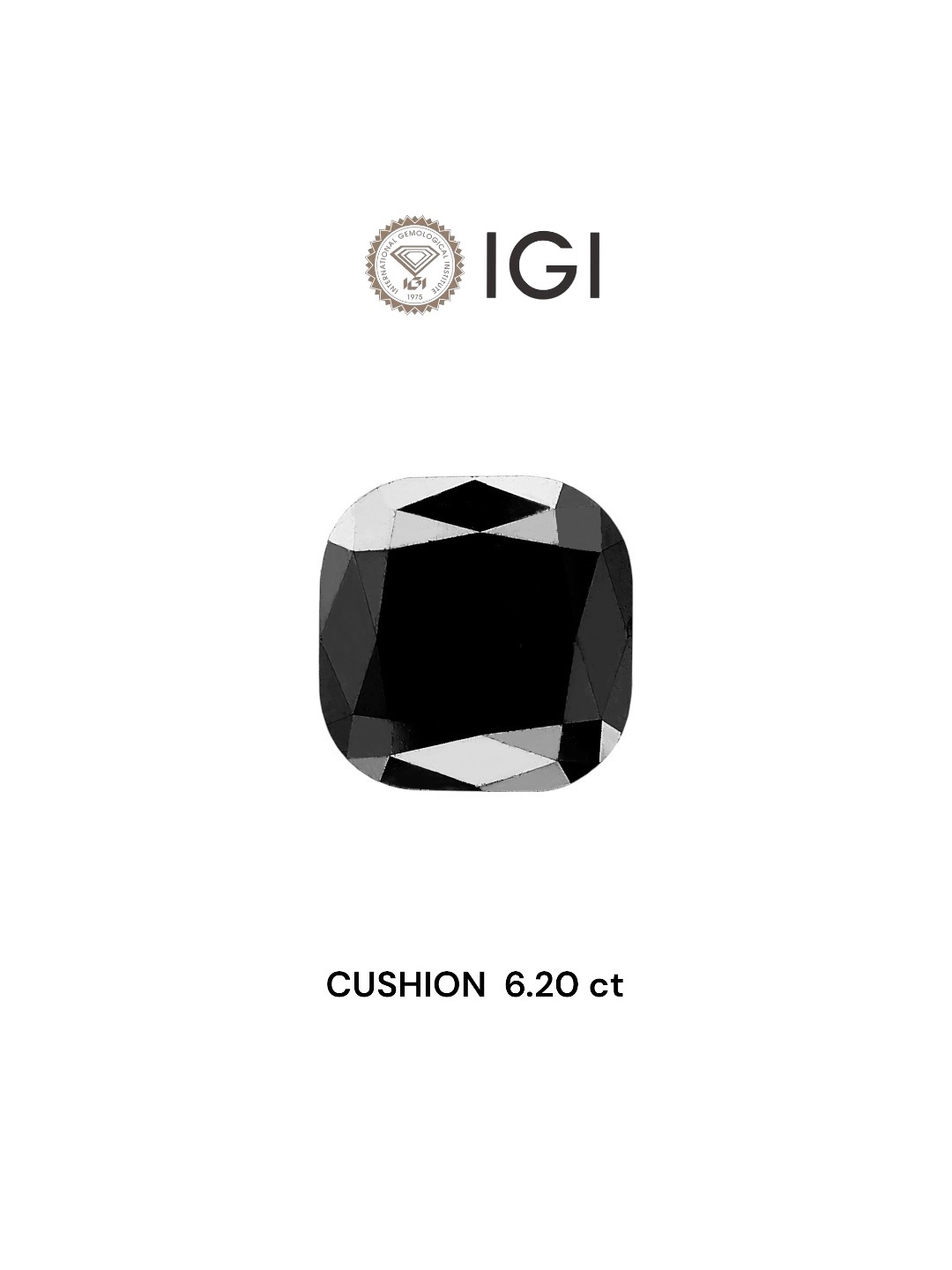 IGI 6.20 Carat Natural Fancy Black Cushion Diamond SE-6213TTI