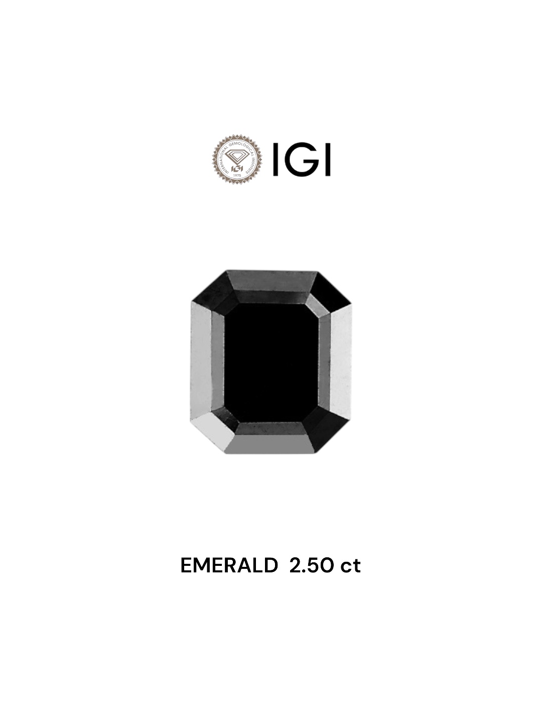 IGI 2.50 Carat Natural Fancy Black Emerald Diamond SE-6219TTI