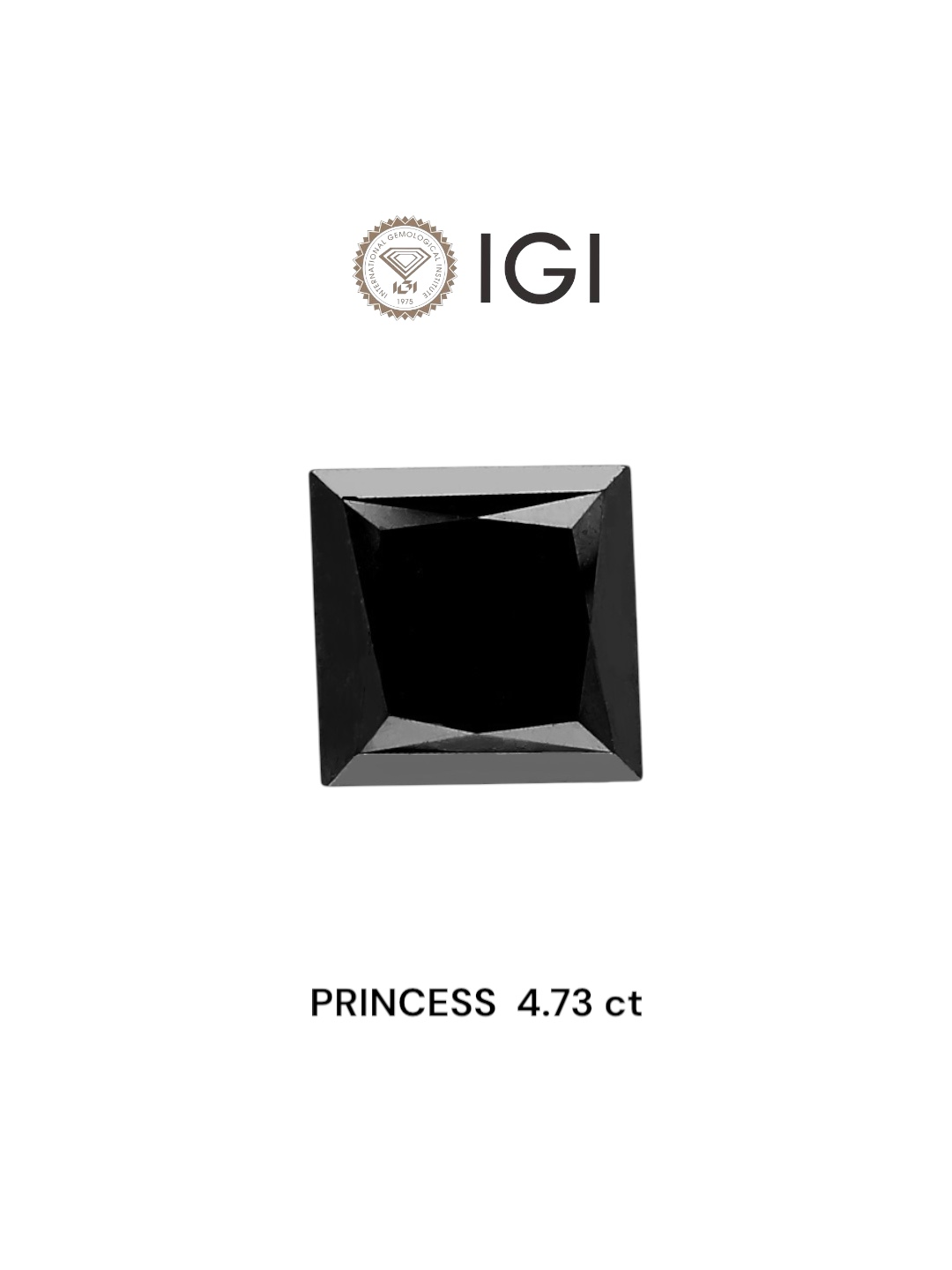 IGI 4.73 Carat Natural Fancy Black Princess Diamond SE-6378TTI