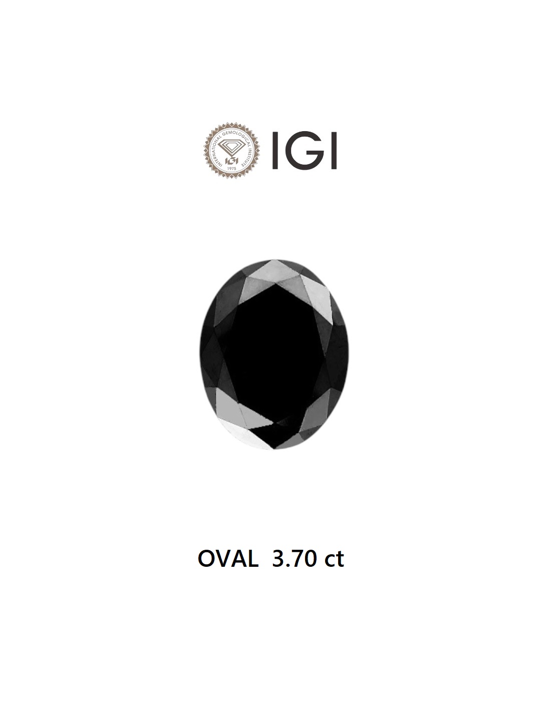 IGI 3.70 Carat Natural Fancy Black Oval Diamond SE-6381TTI