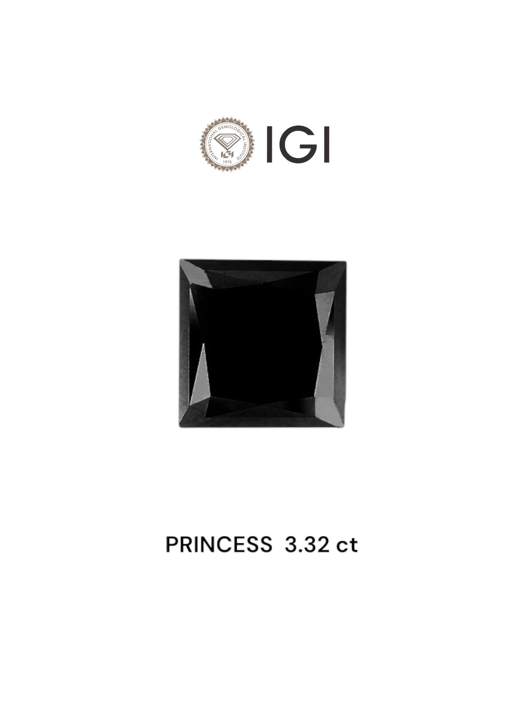 IGI 3.32 Carat Natural Fancy Black Princess Diamond SE-6388TTI