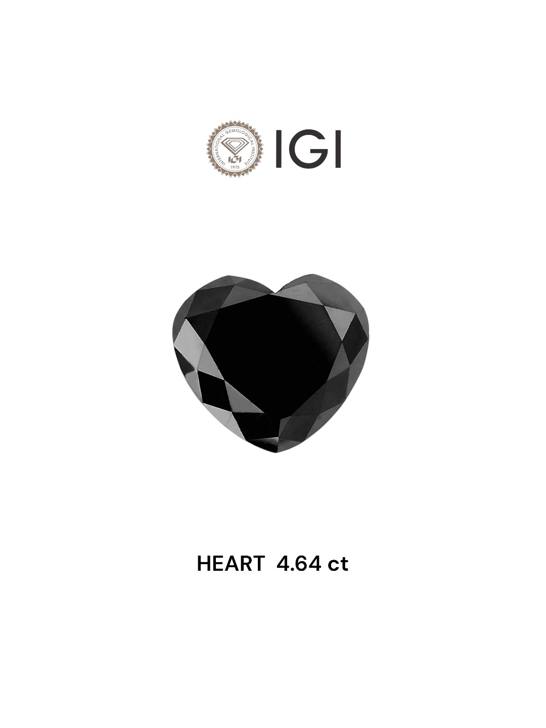 IGI 4.64 Carat Natural Fancy Black Heart Diamond SE-6434TTI