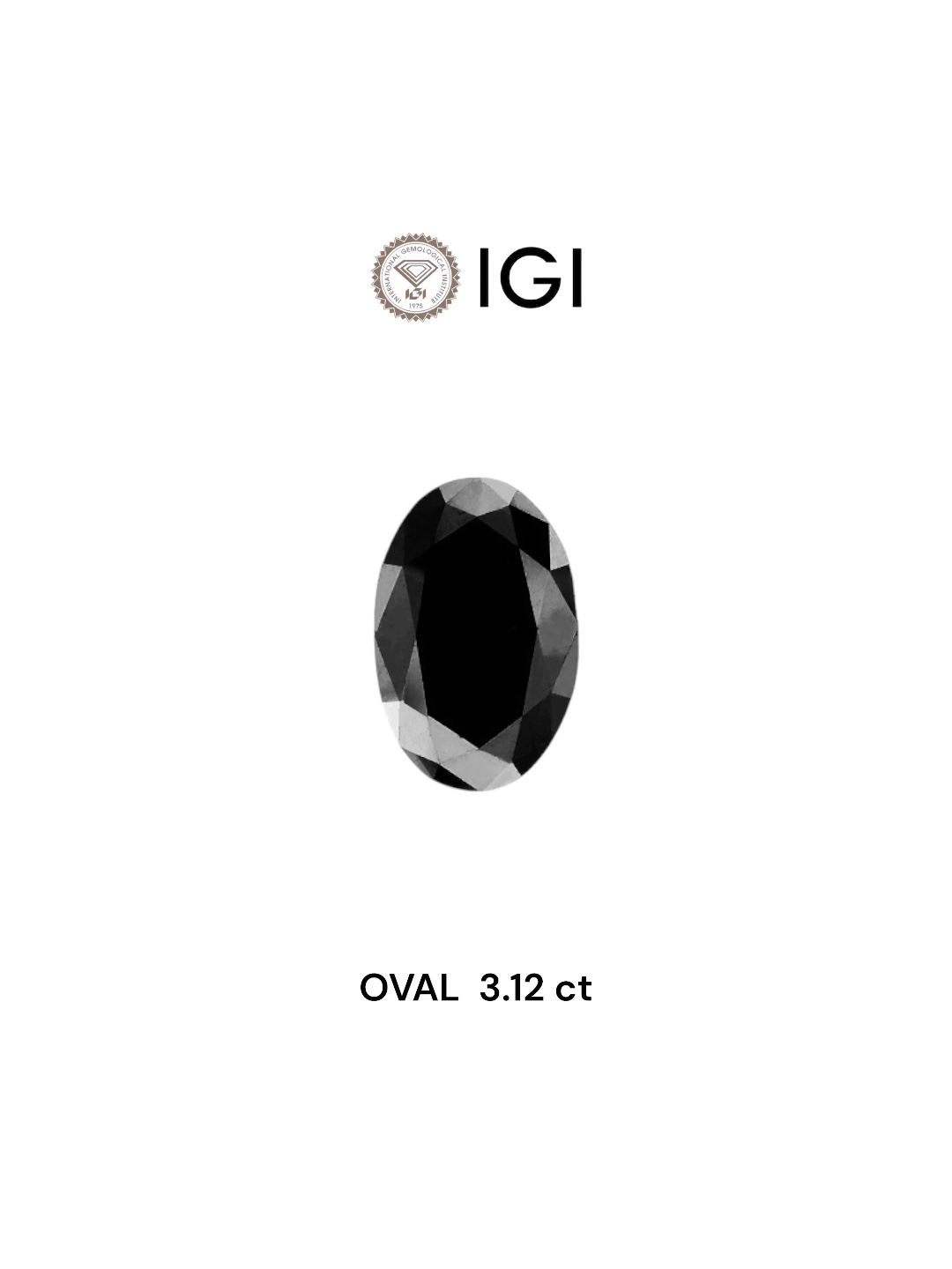 IGI 3.12 Carat Natural Fancy Black Oval Diamond SE-6470TTI