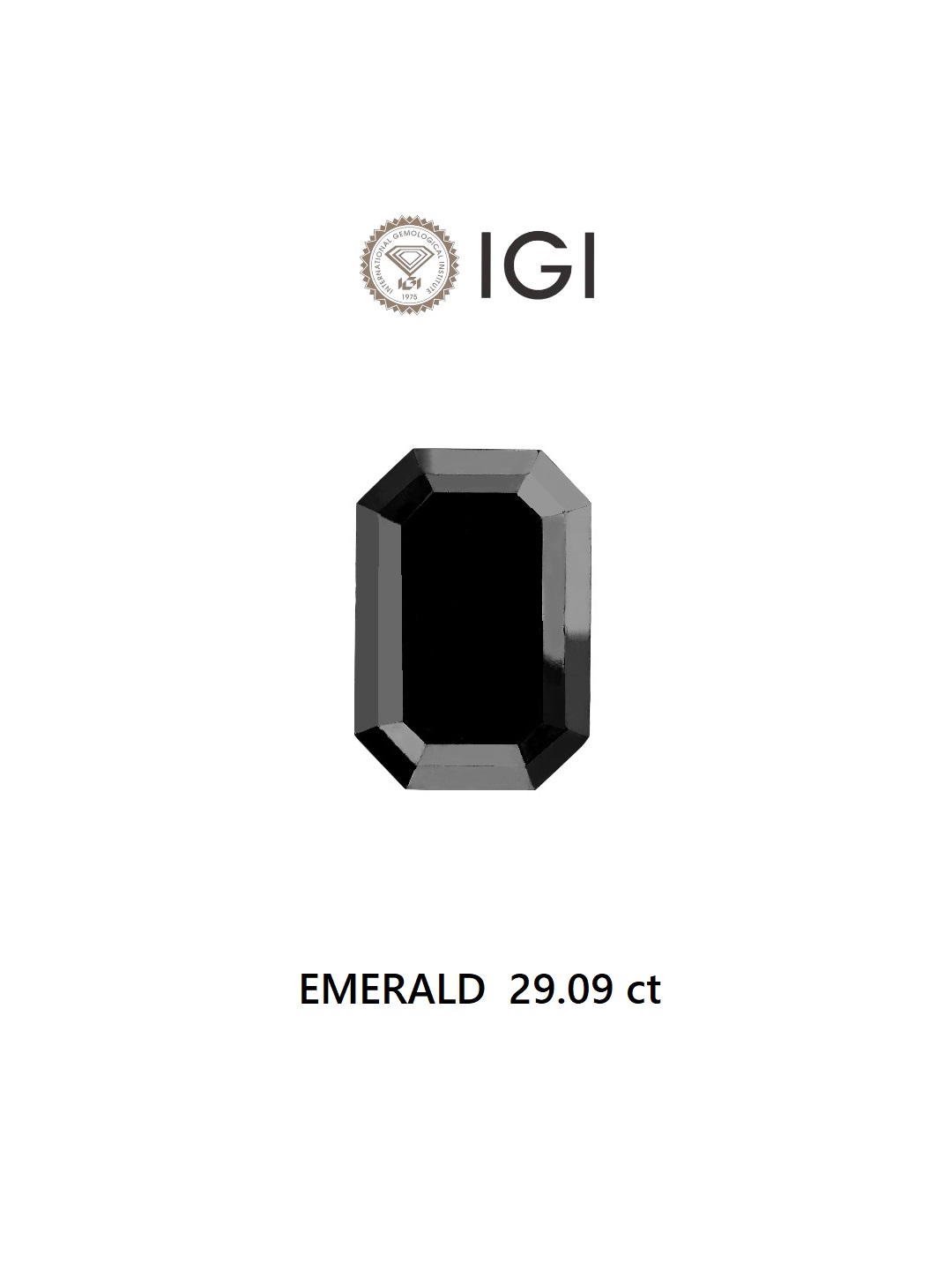 IGI 29.09 Carat Natural Fancy Black Emerald Diamond SE-6491TTI
