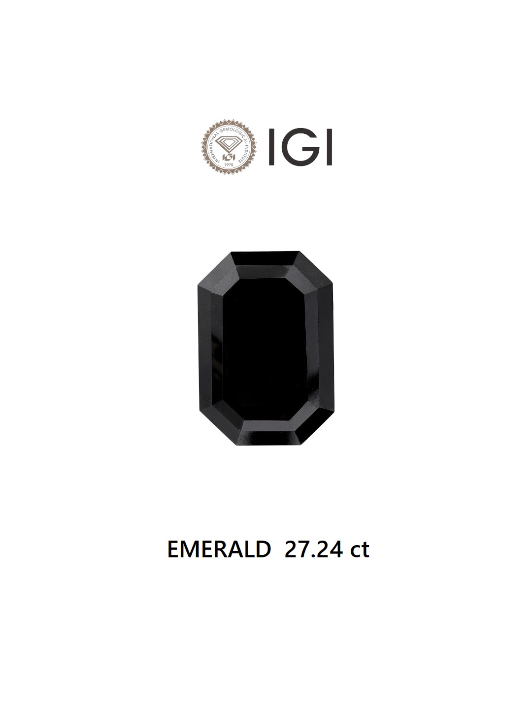 IGI 27.24 Carat Natural Fancy Black Emerald Diamond SE-6492TTI