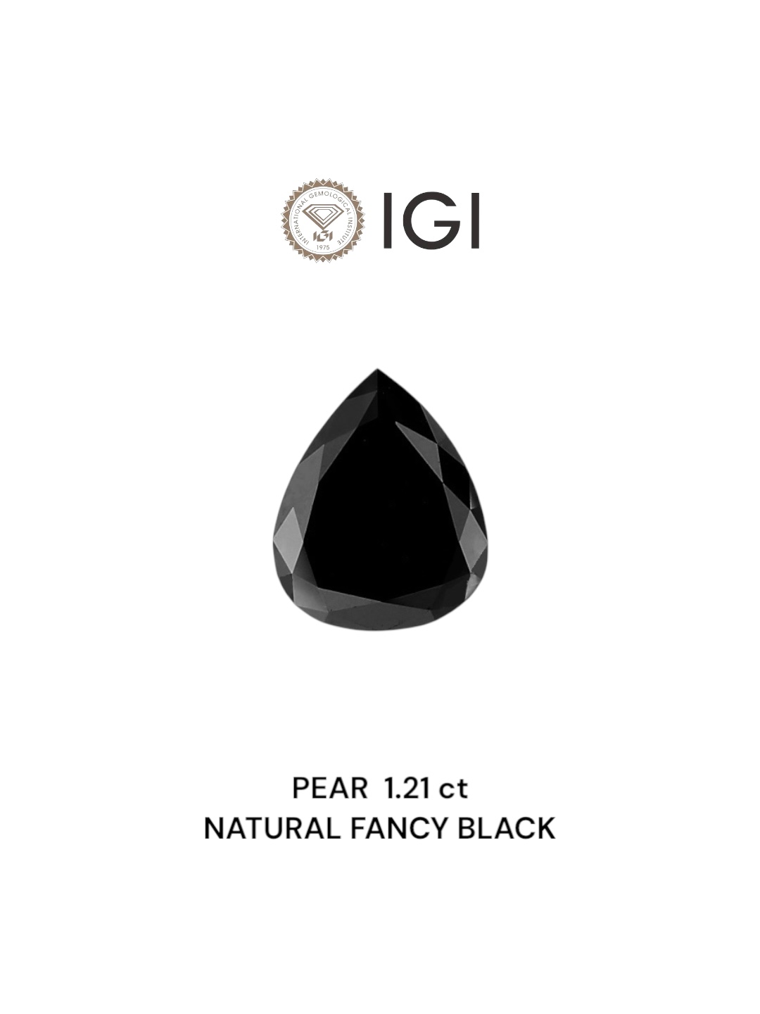 IGI 1.21 Carat Natural Fancy Black Pear Diamond SE-6544IN