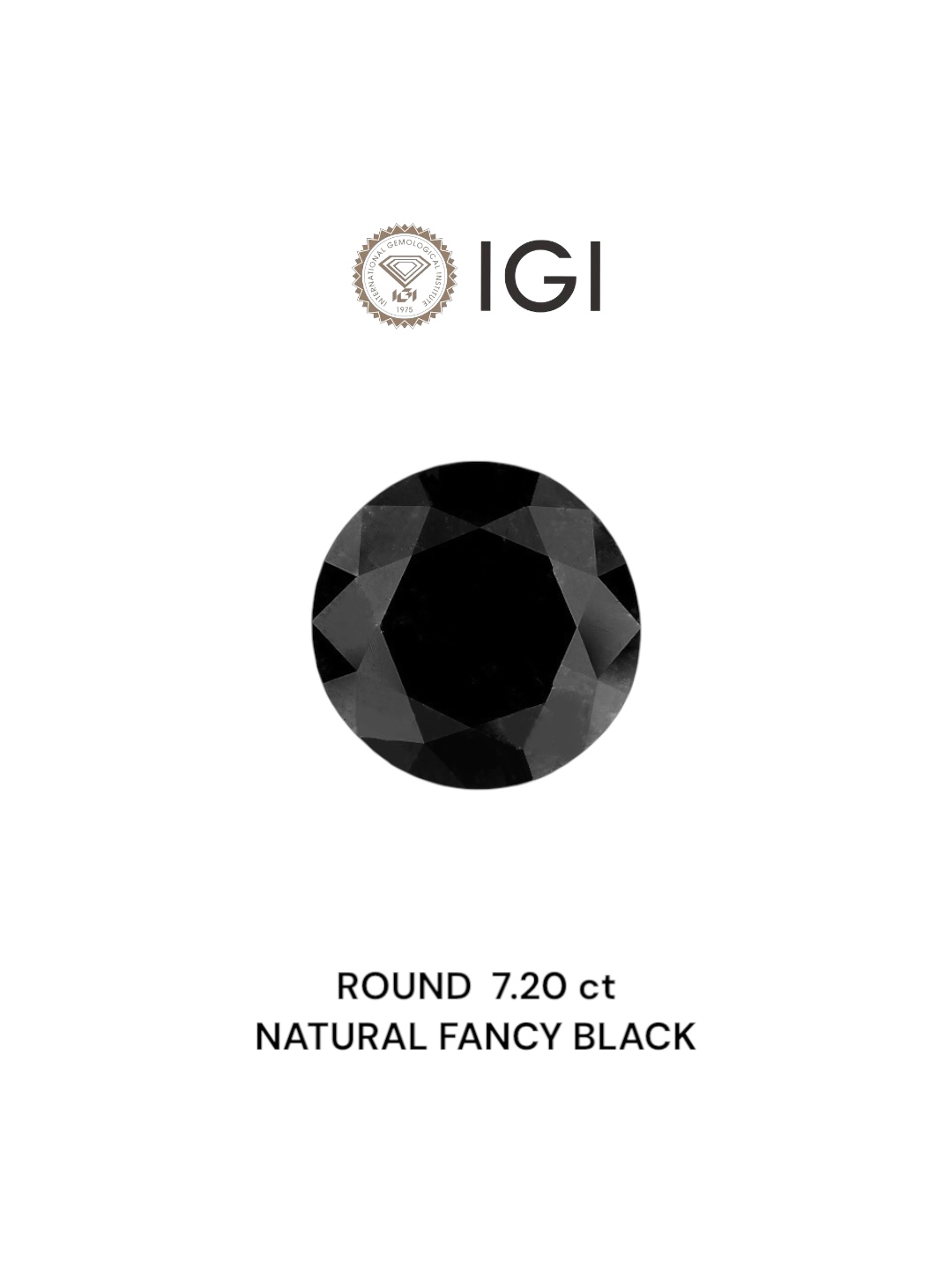 IGI 7.20 Carat Natural Fancy Black Round Diamond SE-6587IN