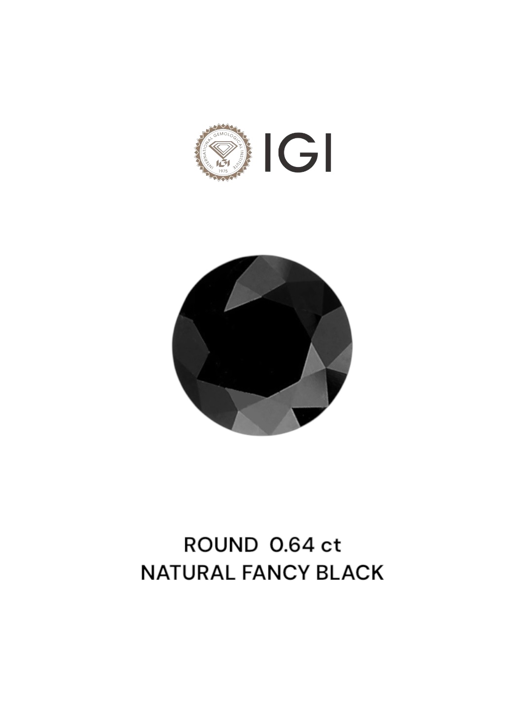 IGI 0.64 Carat Natural Fancy Black Round Diamond SE-6599IN