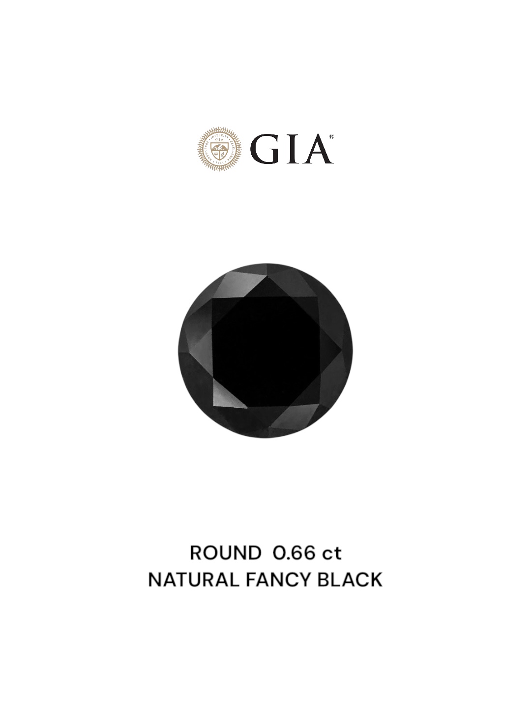 GIA 0.66 Carat Natural Fancy Black Round Diamond SE-6600GN