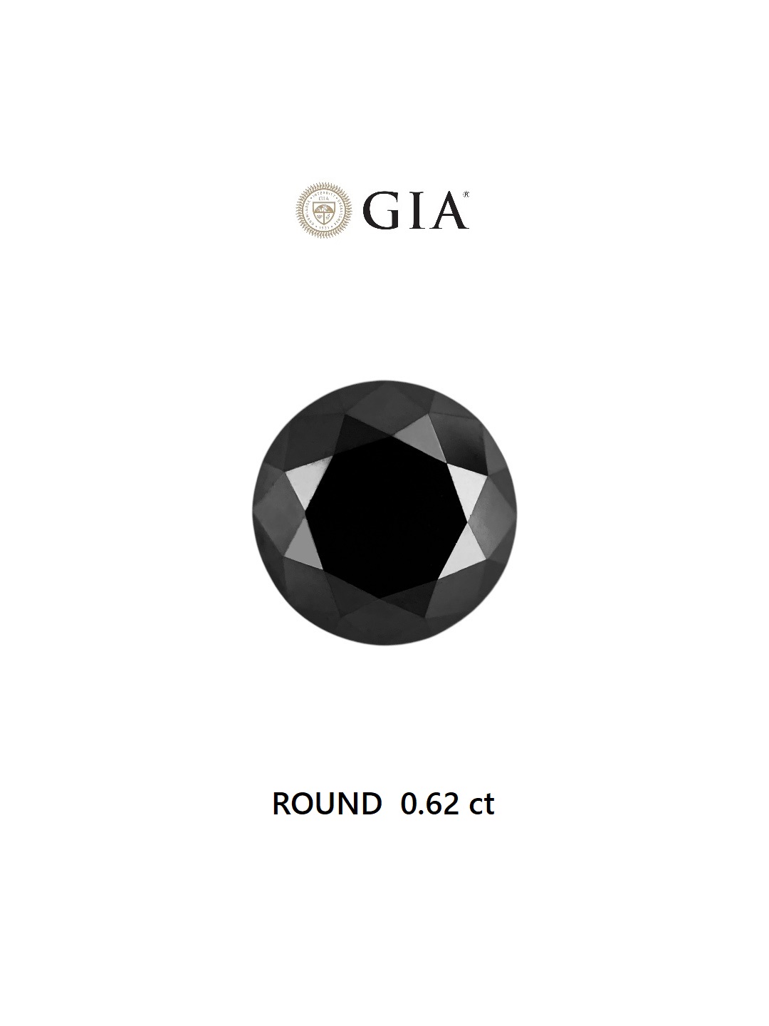 GIA 0.62 Carat Natural Fancy Black Round Diamond SE-6601GN