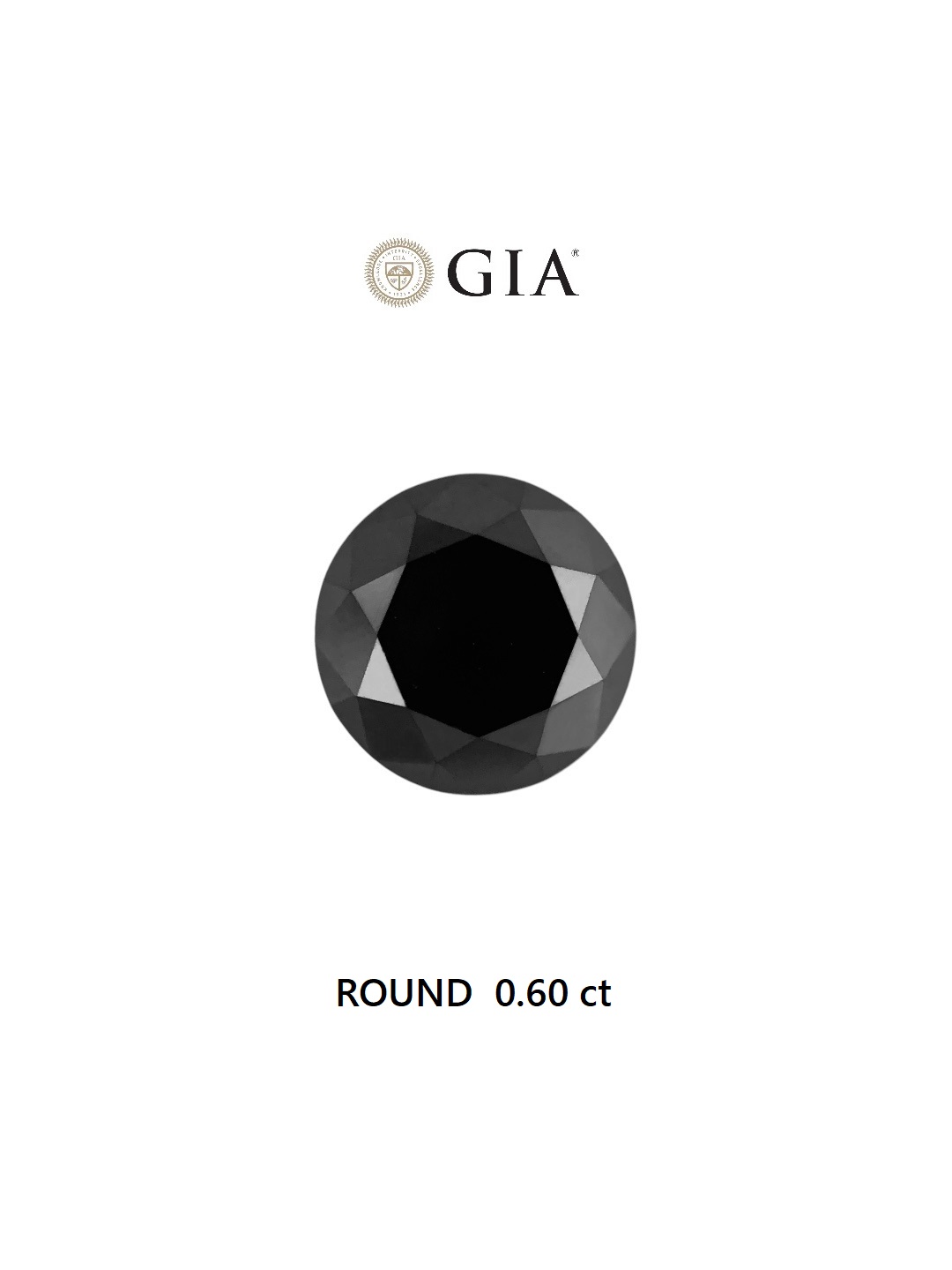 GIA 0.60 Carat Natural Fancy Black Round Diamond SE-6602GN