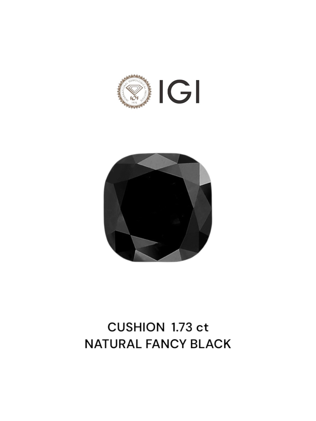 IGI 1.73 Carat Natural Fancy Black Cushion Diamond SE-6606IN