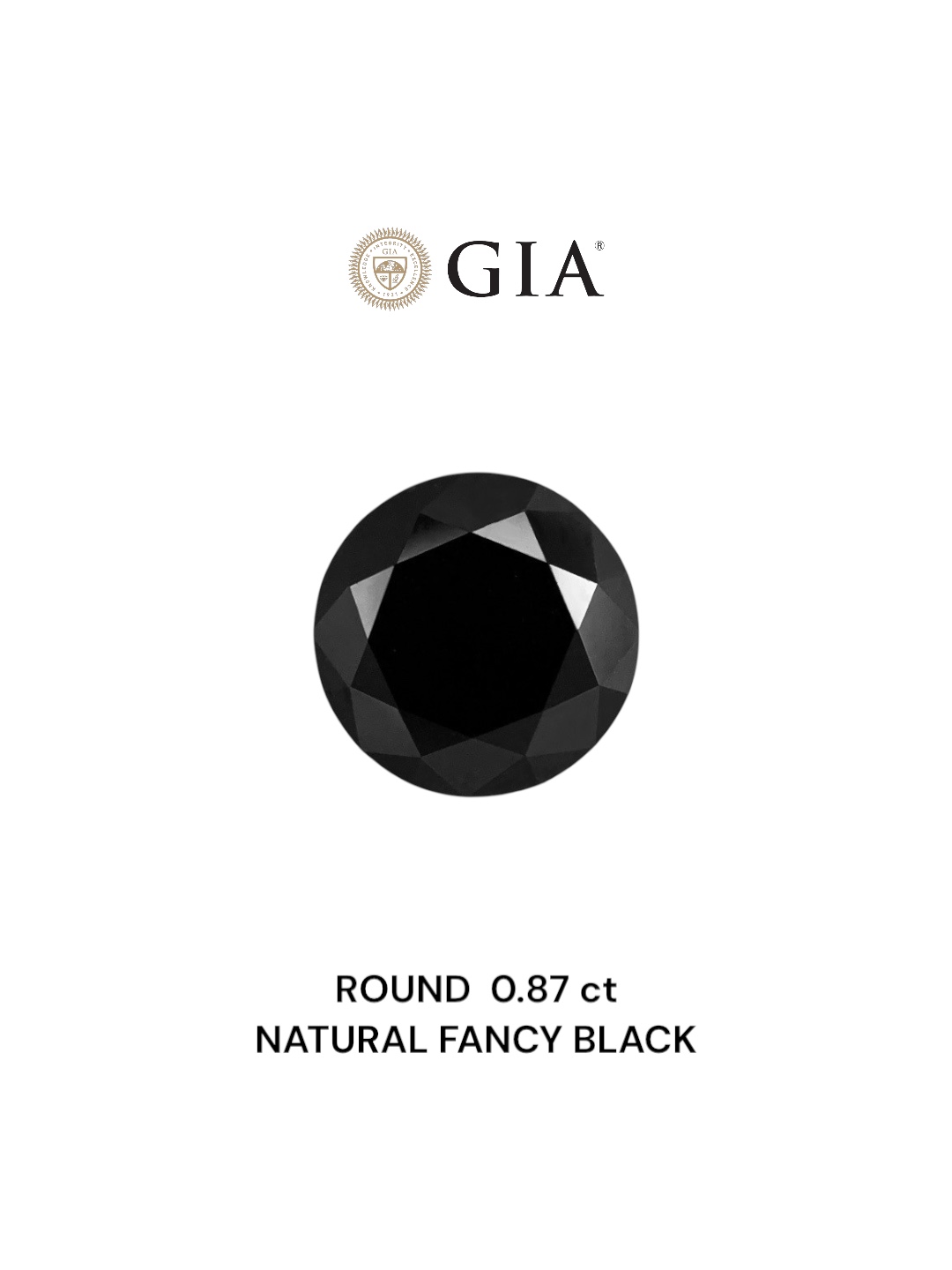 GIA 0.87 Carat Natural Fancy Black Round Diamond SE-6631GN